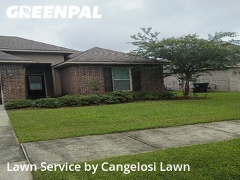 Lawn Mowing nearby Gonzales, LA, 