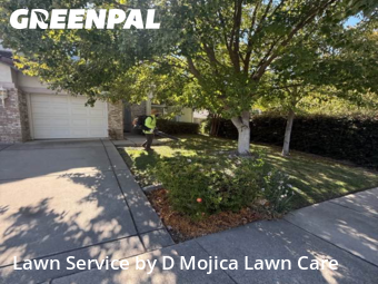 Work completed by yard-maintenance-professionals-in-Elk Grove-CA