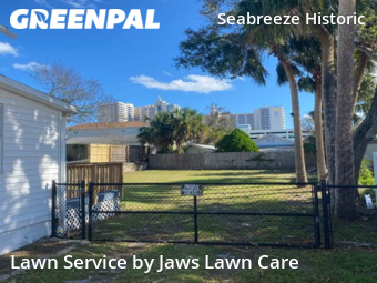 Grass Cut nearby Daytona Beach, FL, 