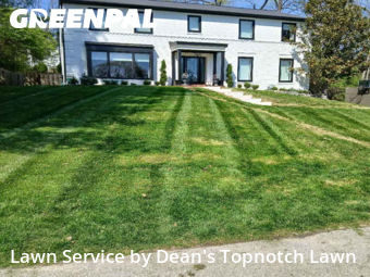 Grass Cut nearby St. Louis, IL, 