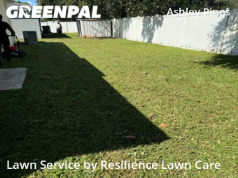 Lawn Cutting nearby Wesley Chapel, FL, 