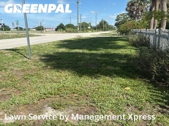 Yard Cutting nearby Punta Gorda, FL, 