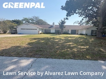 Lawn mowed in Maitland, 32751