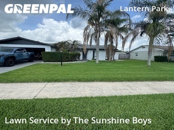 Grass Cutting nearby South Daytona, FL, 