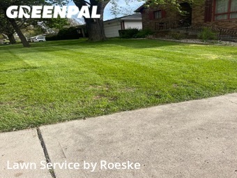 Lawn Mow nearby Normal, IL, 