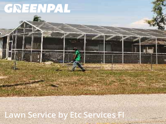 Grass Services in Bayonet Point, 34668, Grass Cutting by Etc Services Fl, work completed in Nov , 2025