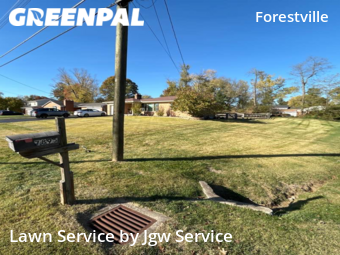 Grass Cut nearby Cincinnati, OH, 