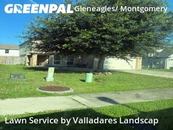 Lawn Cuttingin Conroe,77385,Grass Cut by Valladares Landscap, work completed in Jun , 2026