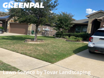 Grass Cut nearby Haslet, TX, 