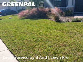 Yard Services in Ruskin, 33573, Lawn Services by B And J Lawn Pro, work completed in Nov , 2025