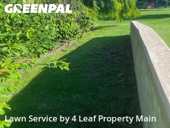 Lawn mowed in Joplin, 64804