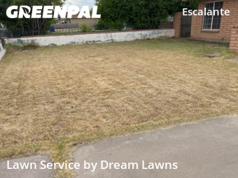 Yard Cutting in Tempe, 85281, Lawn Care by Dream Lawns, work completed in Oct , 2025