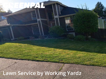 Grass Cutting nearby Renton, WA, 