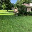 cheap-lawn-cutting-businesses-in-Evansville-IN