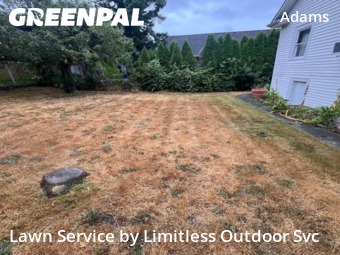 Yard Mowing nearby Seattle, WA, 