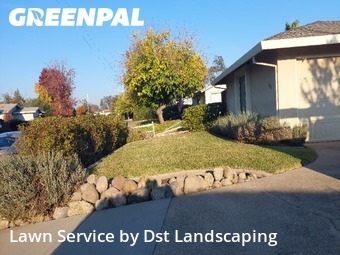grass-trimming-service-in-Sacramento-CA