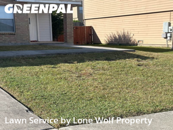 Lawn Cut nearby Cibolo, TX, 