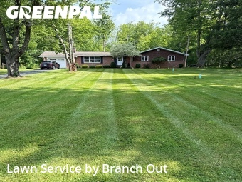 Lawn Mowing nearby Elma Center, NY, 