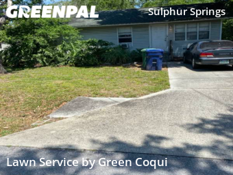 Grass Cut nearby Tampa, FL, 