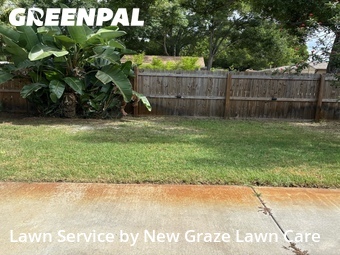 Lawn Cutting nearby Gulfport, FL, 