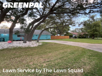 Lawn Service nearby Spring Hill, FL, 