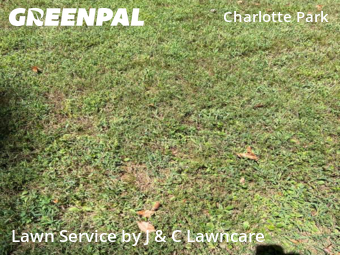 Lawn Cutting nearby Nashville, TN, 