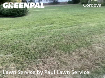 Lawn Mow nearby Cordova, TN, 