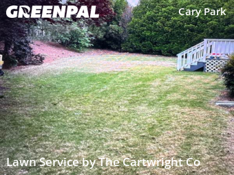 Grass Cut nearby Cary, NC, 
