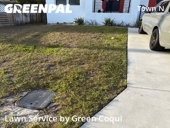 Lawn Mowing Service nearby Tampa, FL, 