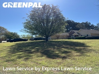 Lawn Mowing nearby Lawrenceville, GA, 
