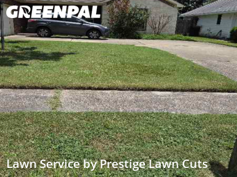 Lawn Care nearby Spring, TX, 