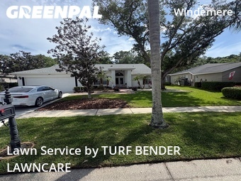 Yard Cutting nearby Palm Harbor, FL, 
