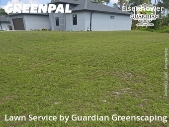 Grass Cutting nearby Lehigh Acres, FL, 