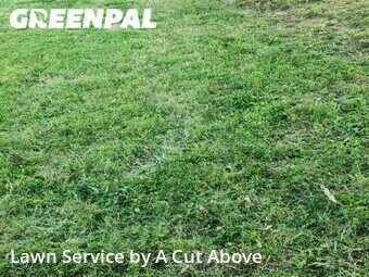Lawn Cutting nearby Hendersonville, TN, 