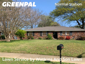 Grass Cut nearby Memphis, TN, 