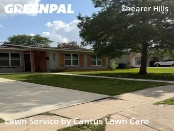 Yard Cutting nearby San Antonio, TX, 