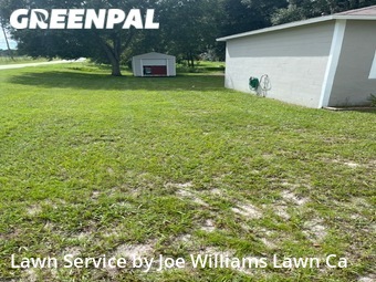 Lawn Maintenance nearby Dade City, FL, 