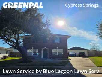 Grass Cutin Cypress,77433,Lawn Mowing by Blue Lagoon Lawn Serv, work completed in Feb , 2026