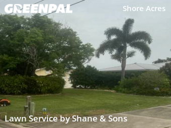Lawn Care Service nearby St. Petersburg, FL, 