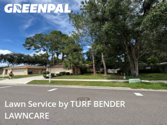 Lawn Cuttingin Oldsmar,34677,Lawn Mowing by TURF BENDER LAWNCARE, work completed in Nov , 2025