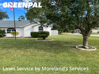 Lawn Care Service nearby Palm Coast, FL, 