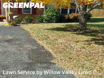 Grass Cut nearby Hollins, VA, 