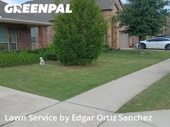 Grass Cutting nearby Sachse, TX, 