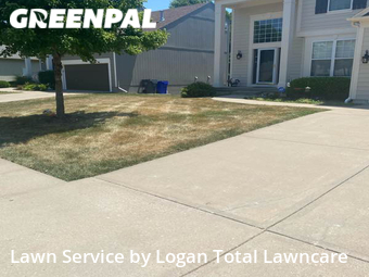 Yard Cutting nearby Lenexa, KS, 