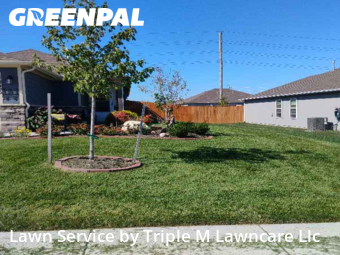 Lawn Cutin Blue Springs,64014,Lawn Mowing Service by Triple M Lawncare Llc, work completed in Nov , 2025