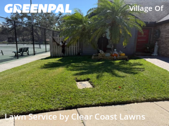 Grass Cutin Palm Harbor,34684,Lawn Cut by Clear Coast Lawns, work completed in Jan , 2026