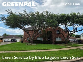 Lawn Servicein Cypress,77433,Lawn Care Service by Blue Lagoon Lawn Serv, work completed in Jun , 2026