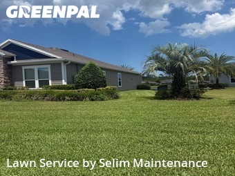 Lawn Mow nearby St. Augustine, FL, 