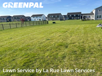 Grass Cutting nearby Delaware, OH, 
