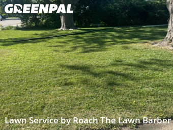Lawn Care Service nearby Joliet, IL, 
